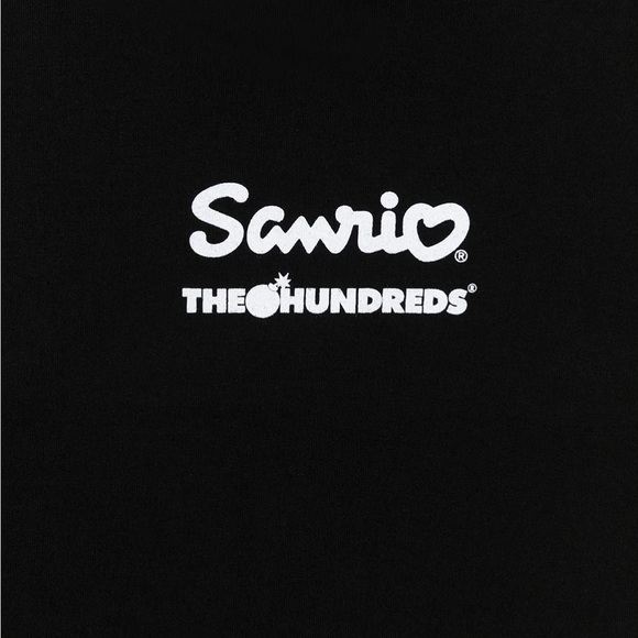 Sanrio x the hundreds collab PEKKLE T-SHIRT sz medium brand new - Picture 4 of 4